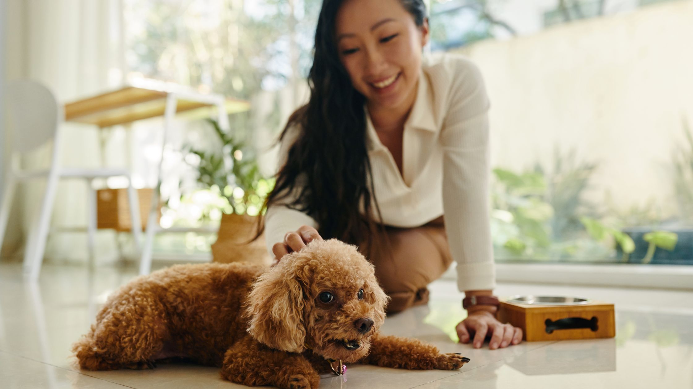 Pet Care & Pet Tech
